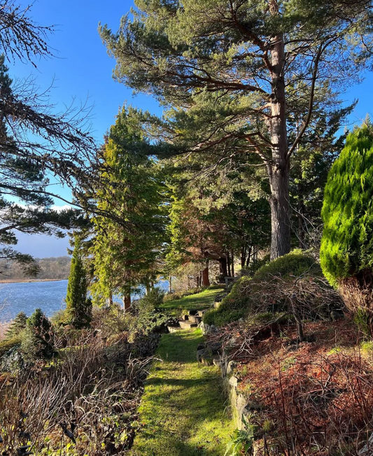 A Joyful Spring Gathering: Forest Bathing & Aromatherapy at Dr. Neil's Garden