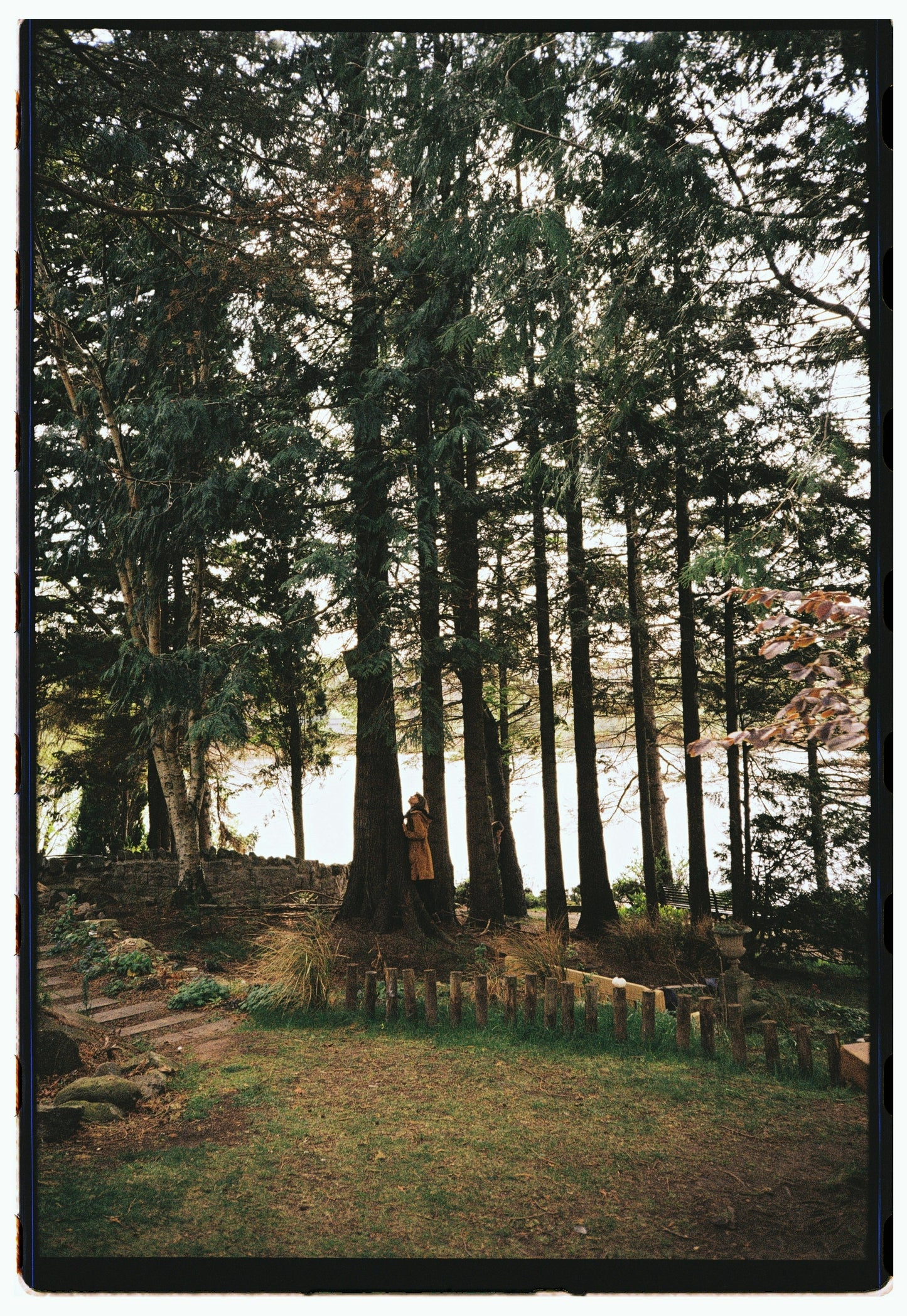 An Autumn Gathering at Dr Neil's Garden Forest Bathing & Aromatherapy