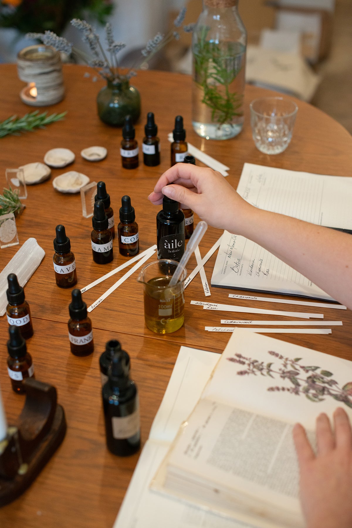 Festive Botanical Perfume Blending · Endless Love at Fruitmarket