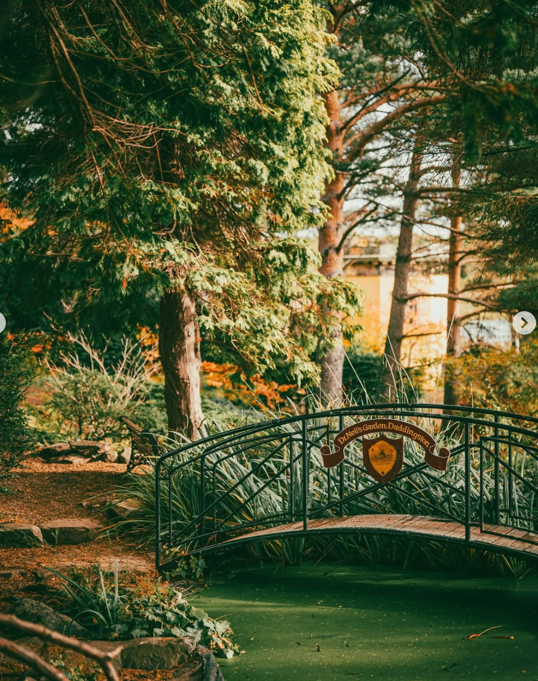 An Autumn Gathering at Dr Neil's Garden Forest Bathing & Aromatherapy