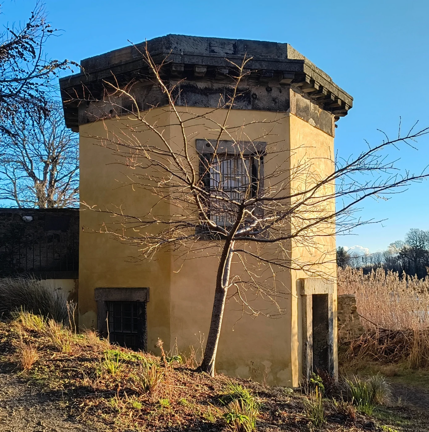 A Joyful Spring Gathering: Forest Bathing & Aromatherapy at Dr. Neil's Garden