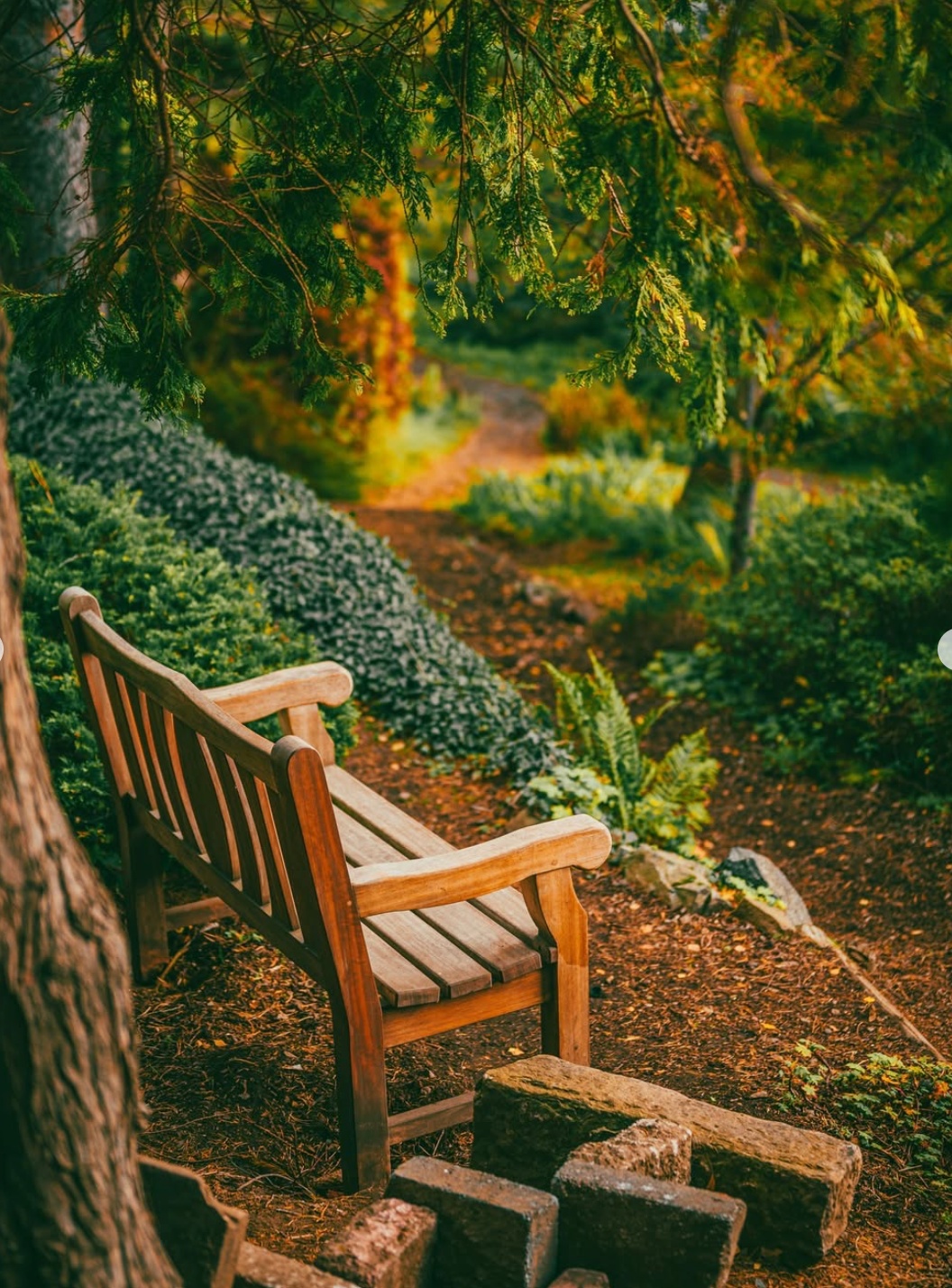 A Joyful Spring Gathering: Forest Bathing & Aromatherapy at Dr. Neil's Garden