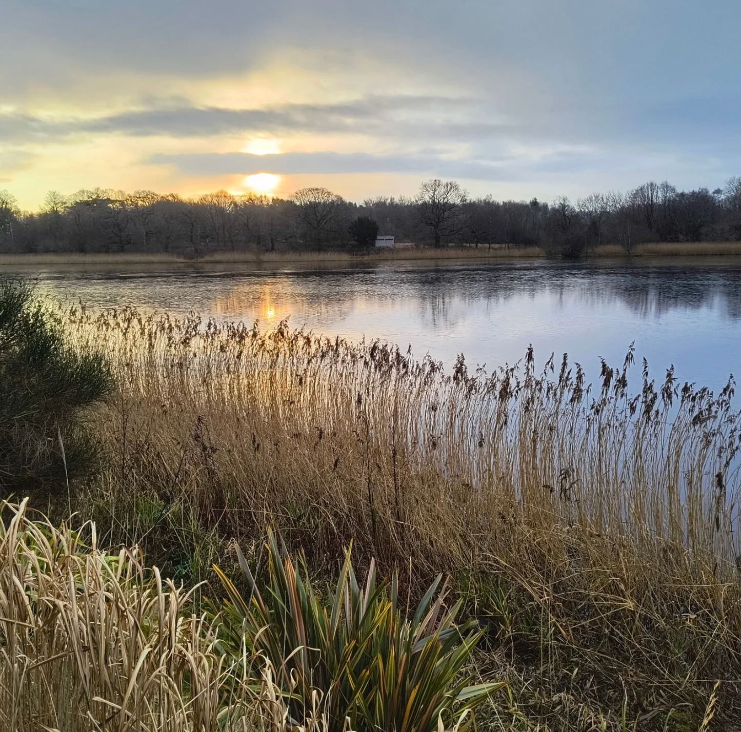 A Joyful Spring Gathering: Forest Bathing & Aromatherapy at Dr. Neil's Garden