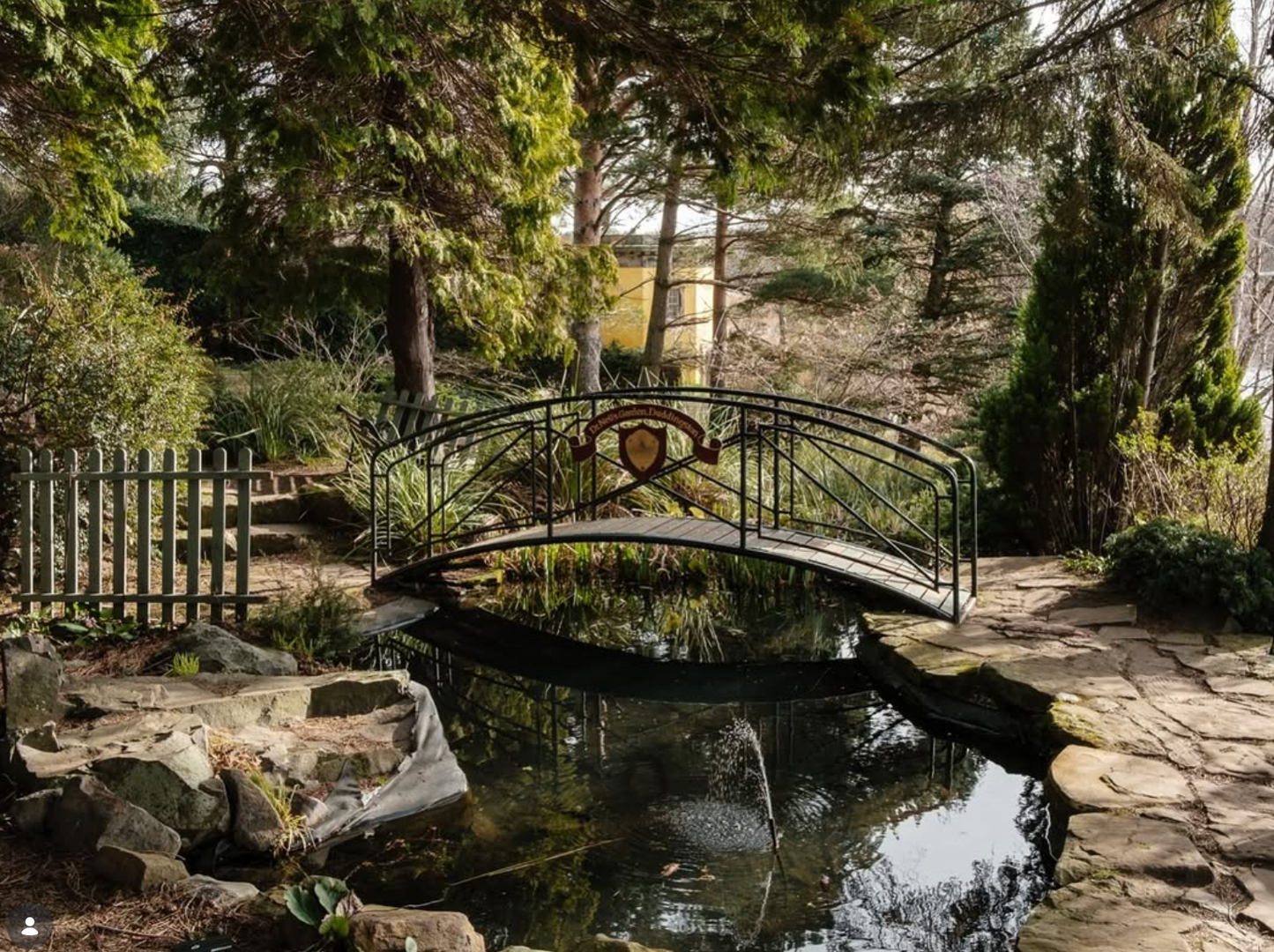 A Joyful Spring Gathering: Forest Bathing & Aromatherapy at Dr. Neil's Garden