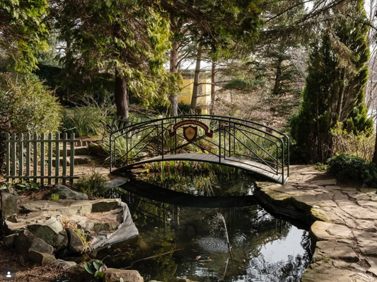 A Joyful Spring Gathering: Forest Bathing & Aromatherapy at Dr. Neil's Garden