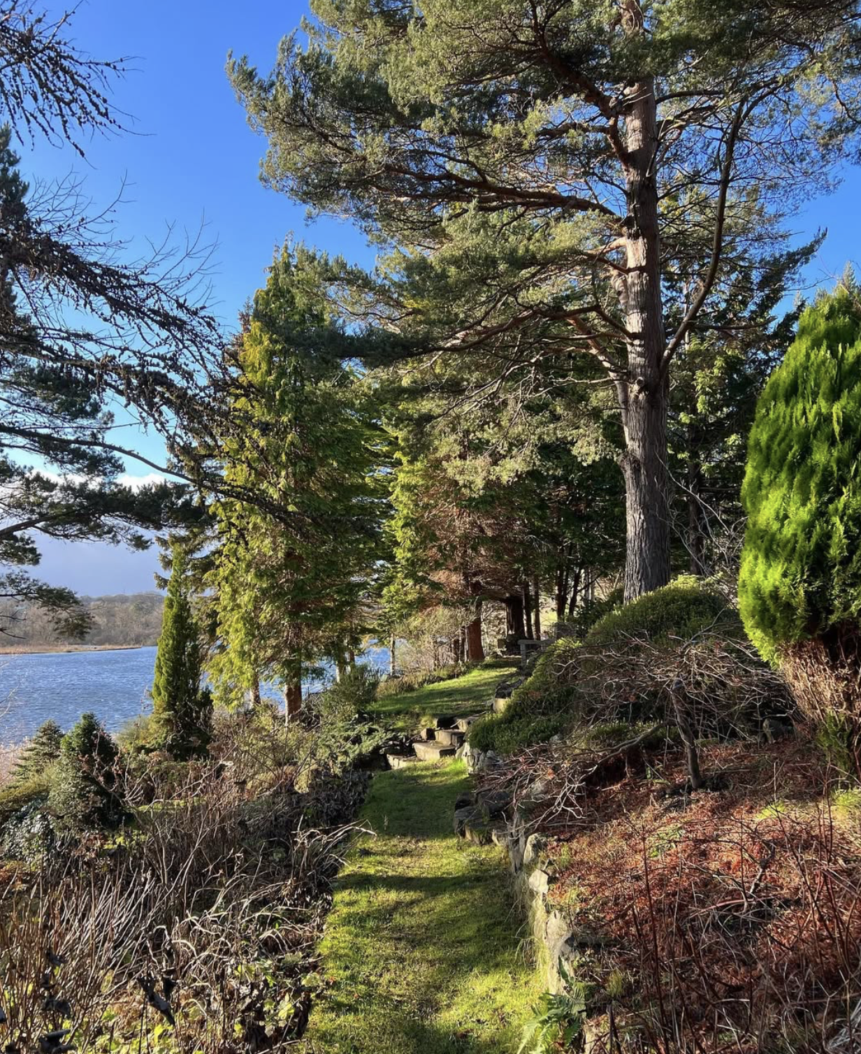 A Joyful Spring Gathering: Forest Bathing & Aromatherapy at Dr. Neil's Garden