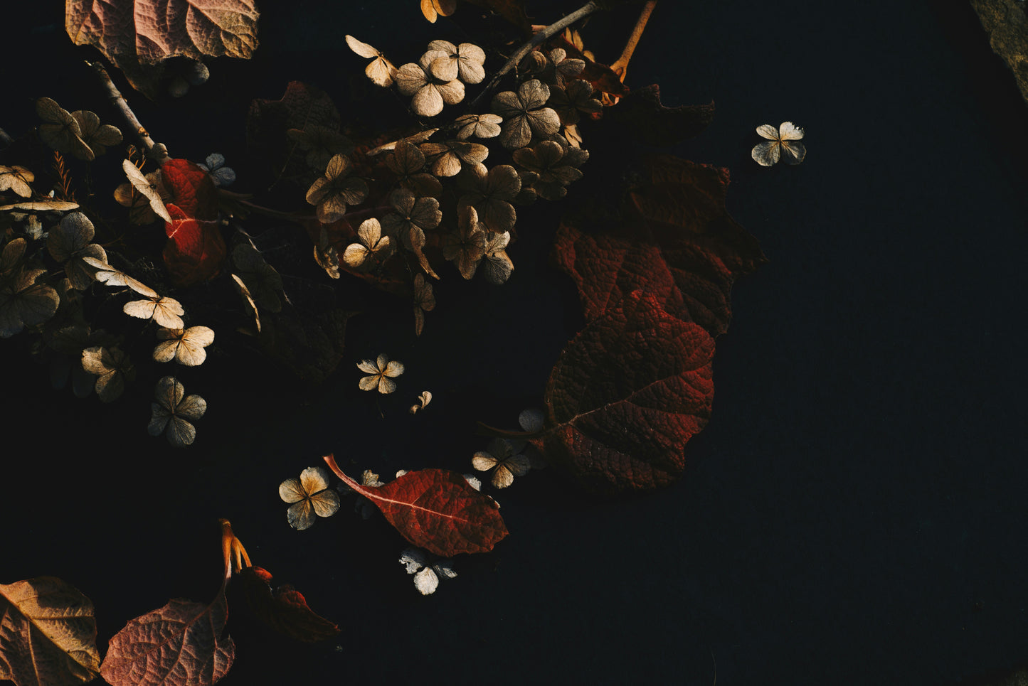 Scent & Stillness - A Half-Day Autumn Retreat