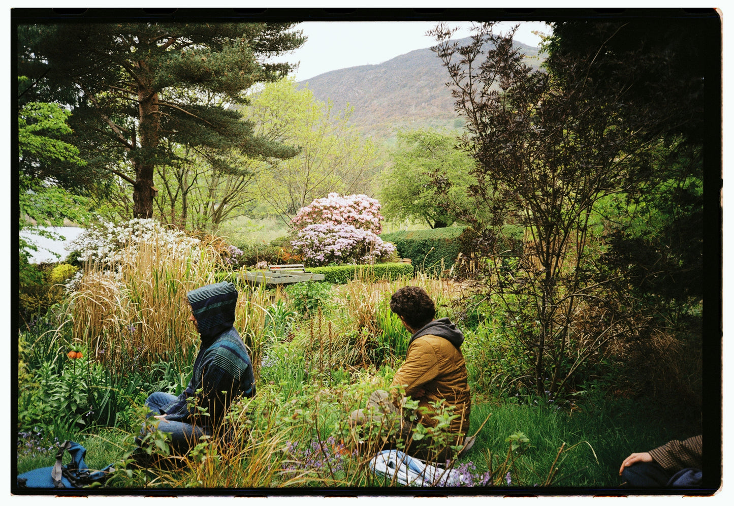 An Autumn Gathering at Dr Neil's Garden Forest Bathing & Aromatherapy