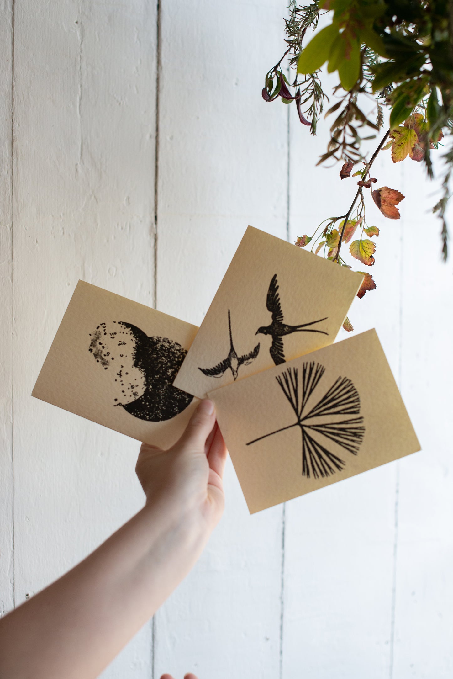 Gift Cards