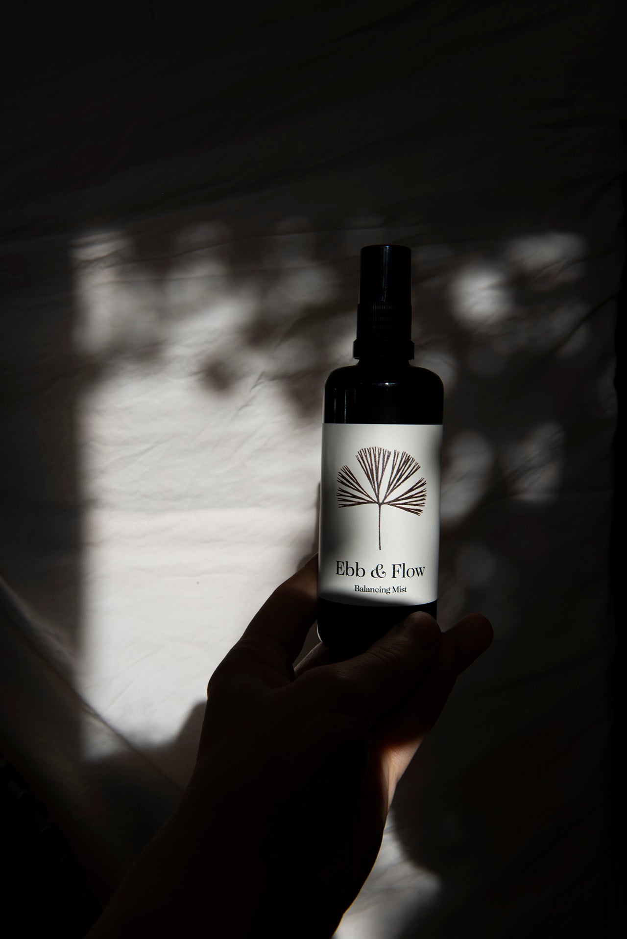 Ebb & Flow Balancing Mist